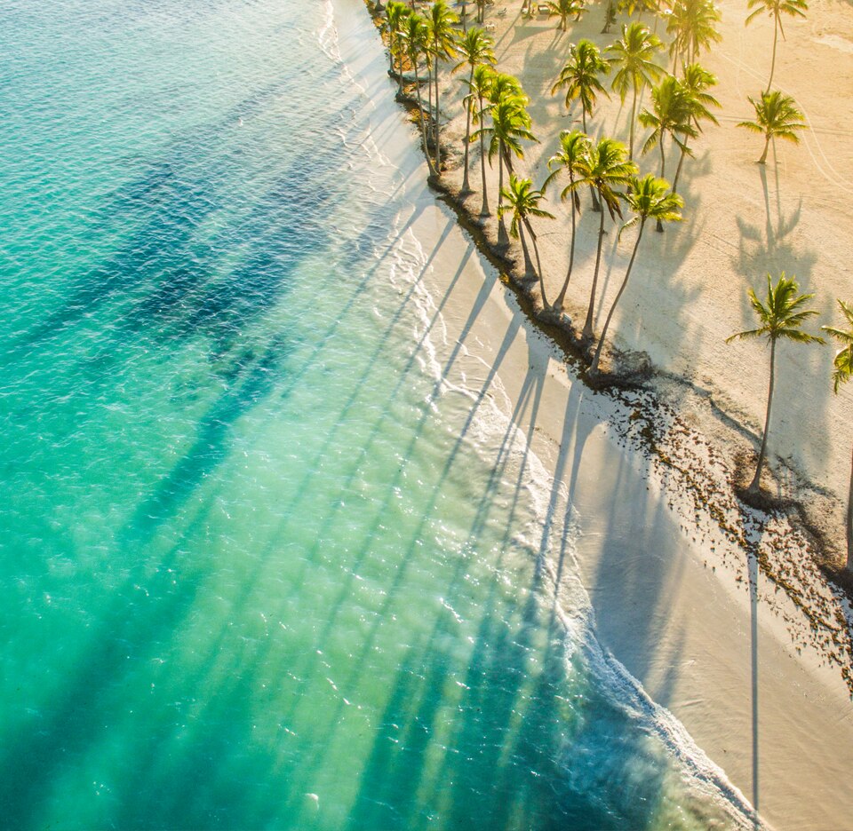 Fly & Cruise Deals 2024 2025 MSC Cruises